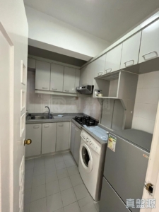 新港城 4期 F座 - 28NTS – 香港北部都會區