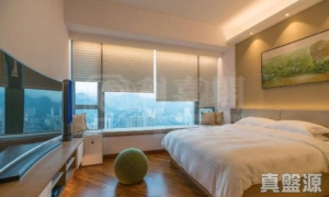御龍山 11座 - 28NTS – 香港北部都會區