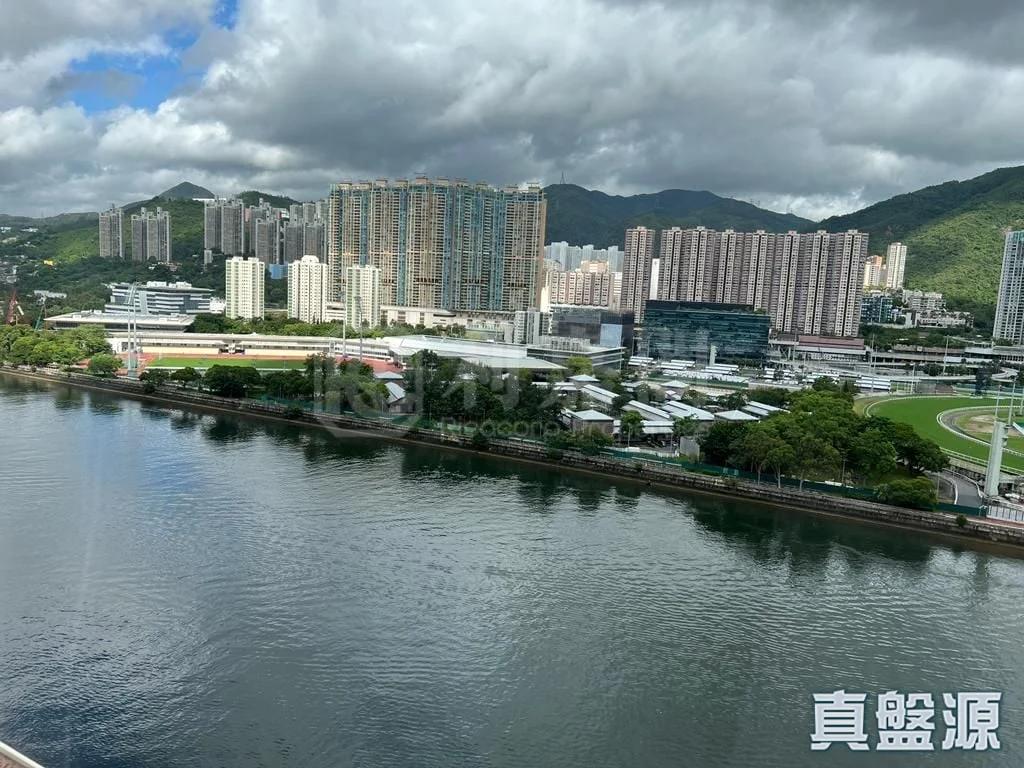 碧濤花園 1期 雅碧閣 (1座) - 28NTS – 香港北部都會區