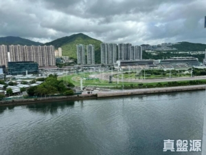 1787586204944af8ba-e8b2-4fb1-8e5b-cec756cb2c01.jpeg 碧濤花園 1期 雅碧閣 (1座) - 28NTS – 香港北部都會區