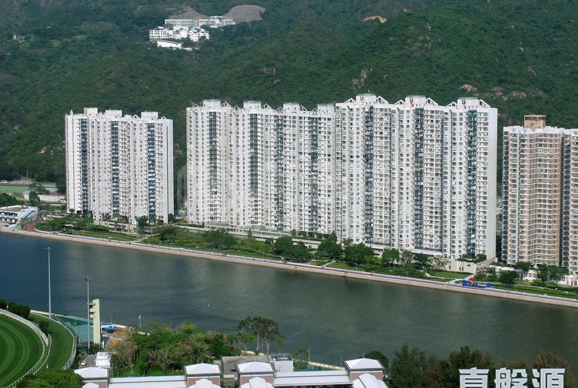 碧濤花園 1期 雅碧閣 (1座) - 28NTS – 香港北部都會區