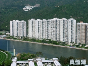 178758620706db64b5-c573-4645-8eb5-2edb7383e8fe.jpeg 碧濤花園 1期 雅碧閣 (1座) - 28NTS – 香港北部都會區