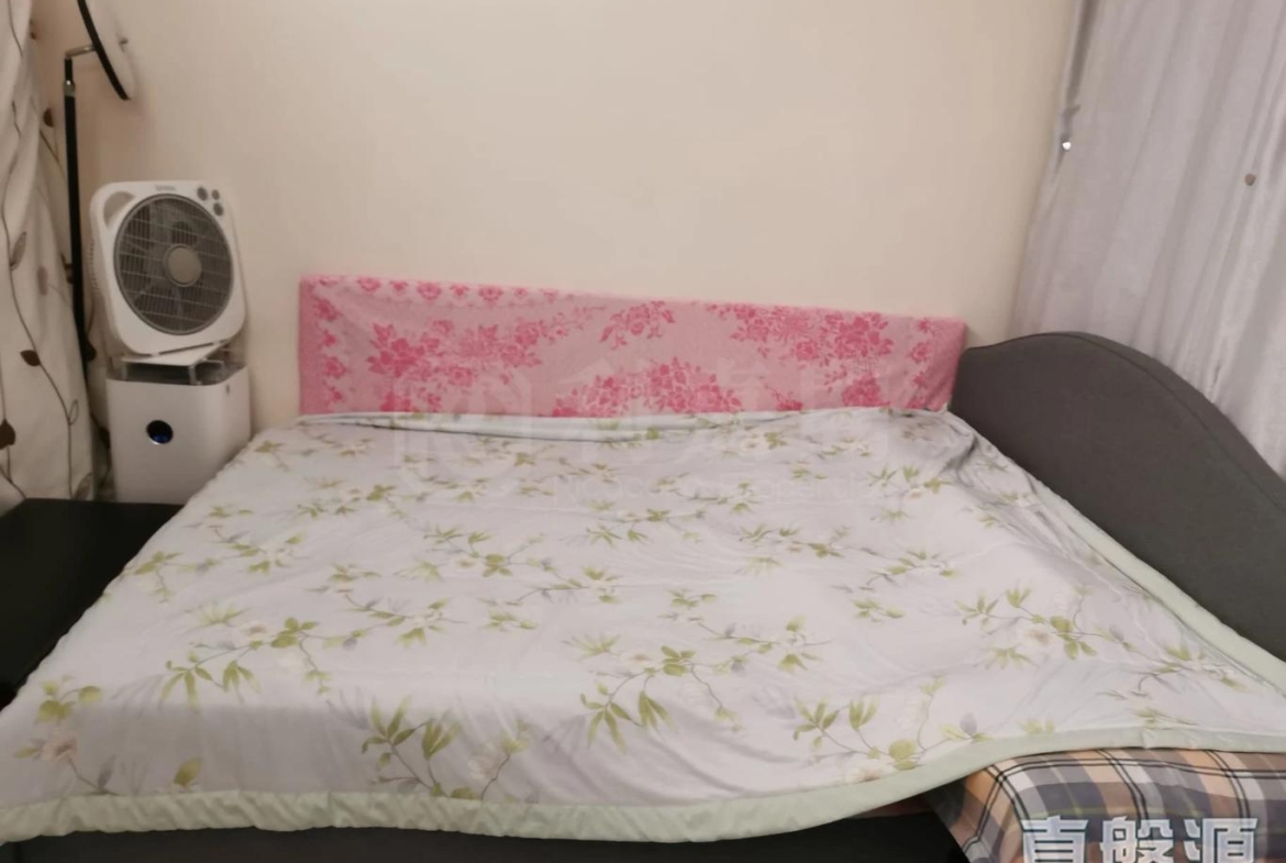 天平邨 天明樓 (4座) - 28NTS – 香港北部都會區