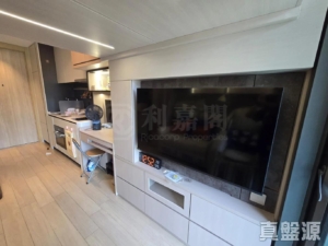 ONE INNOVALE 3期 E座 - 28NTS – 香港北部都會區