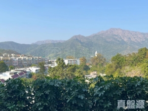 比華利山別墅 1期 - 28NTS – 香港北部都會區