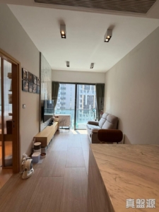 雲海 1期 Maple Court 2座 - 28NTS – 香港北部都會區