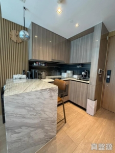 雲海 1期 Maple Court 2座 - 28NTS – 香港北部都會區