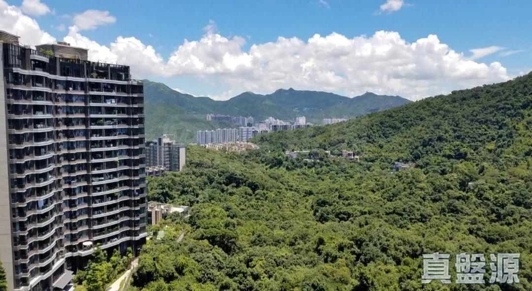 玖瓏山 天瓏閣 第2座 - 28NTS – 香港北部都會區