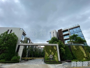 雲端 APEX 3座 - 28NTS – 香港北部都會區