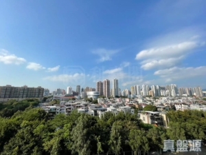 瑧頤 - 28NTS – 香港北部都會區