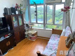 嘉盛苑 嘉揚閣 (D座) - 28NTS – 香港北部都會區