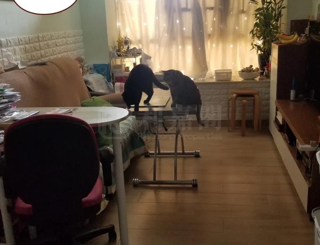 嘉豐花園 - 28NTS – 香港北部都會區