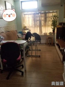 嘉豐花園 - 28NTS – 香港北部都會區