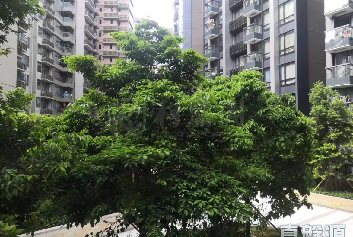 朗濤 7B座 - 28NTS – 香港北部都會區
