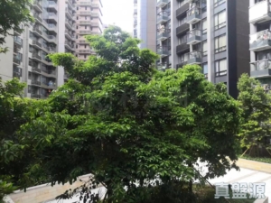 朗濤 7B座 - 28NTS – 香港北部都會區