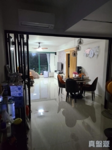 盈峰翠邸 10座 - 28NTS – 香港北部都會區