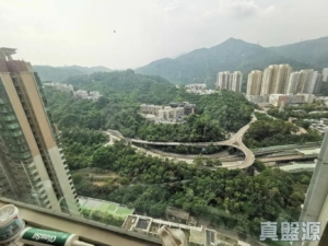 名城 1期 2座 - 28NTS – 香港北部都會區
