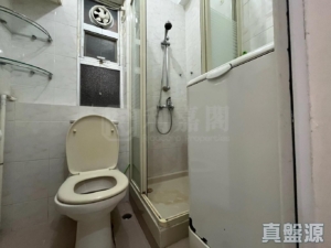 沙田中心 廣寧大廈 (H座) - 28NTS – 香港北部都會區