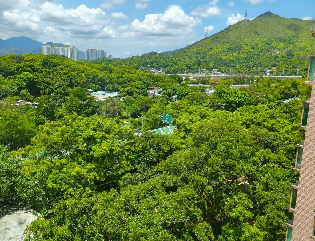 碧湖花園 1座 - 28NTS – 香港北部都會區