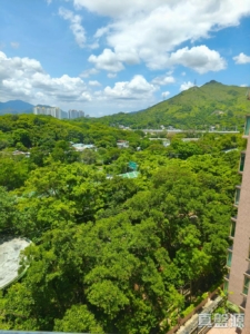 碧湖花園 1座 - 28NTS – 香港北部都會區