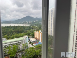 富善邨 善雅樓 (3座) - 28NTS – 香港北部都會區