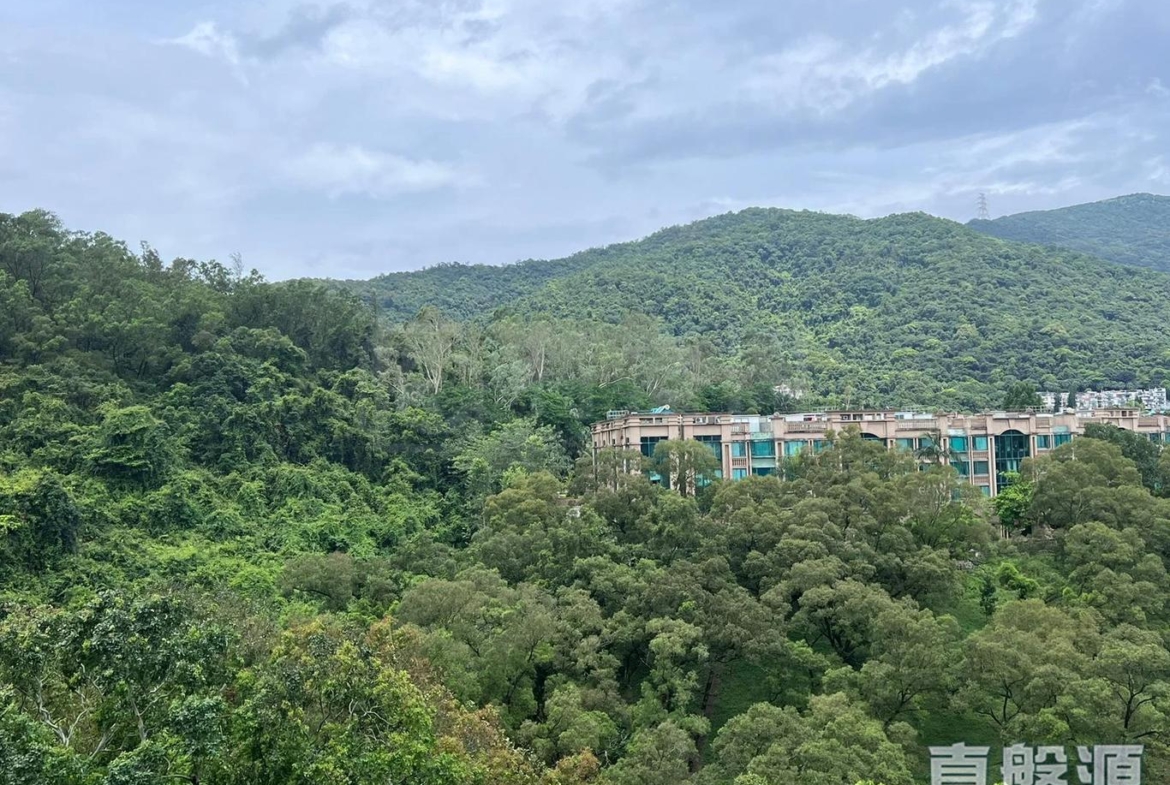 天鑽 10座 - 28NTS – 香港北部都會區