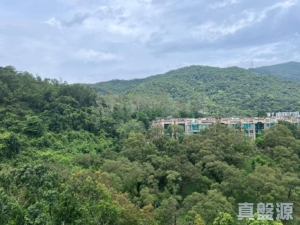 天鑽 10座 - 28NTS – 香港北部都會區