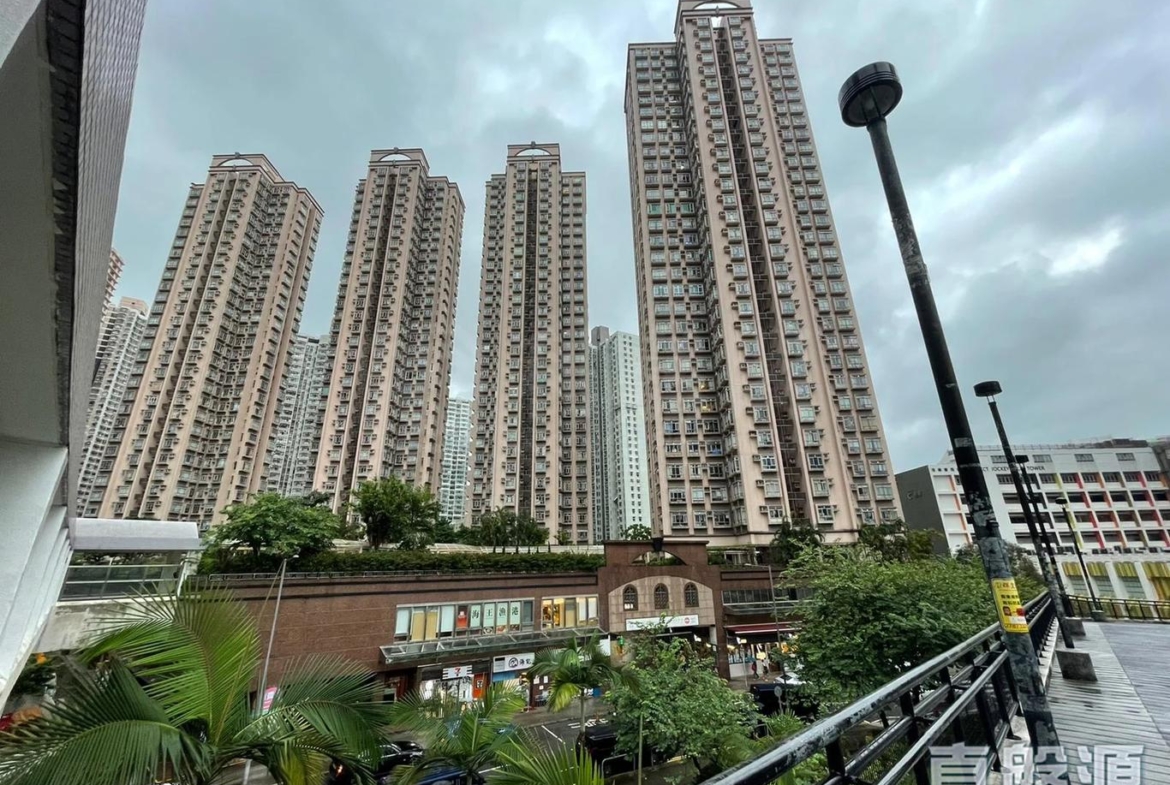 新港城 1期 B座 - 28NTS – 香港北部都會區