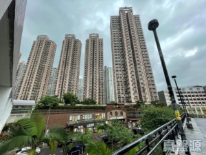 新港城 1期 B座 - 28NTS – 香港北部都會區