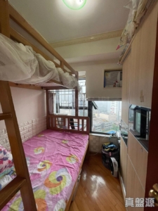 欣廷軒 5座 - 28NTS – 香港北部都會區