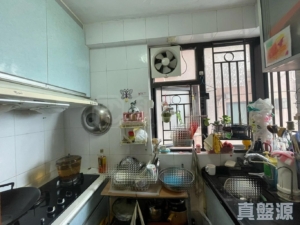 欣廷軒 5座 - 28NTS – 香港北部都會區