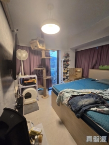 嵐山 1期 8座 - 28NTS – 香港北部都會區