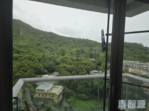 嵐山 1期 8座 - 28NTS – 香港北部都會區