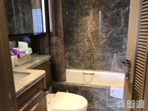 迎海 2期 迎海‧星灣 19座 - 28NTS – 香港北部都會區