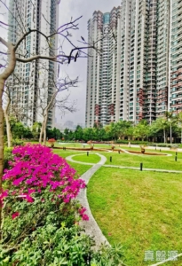 駿景園 1期 3座 - 28NTS – 香港北部都會區