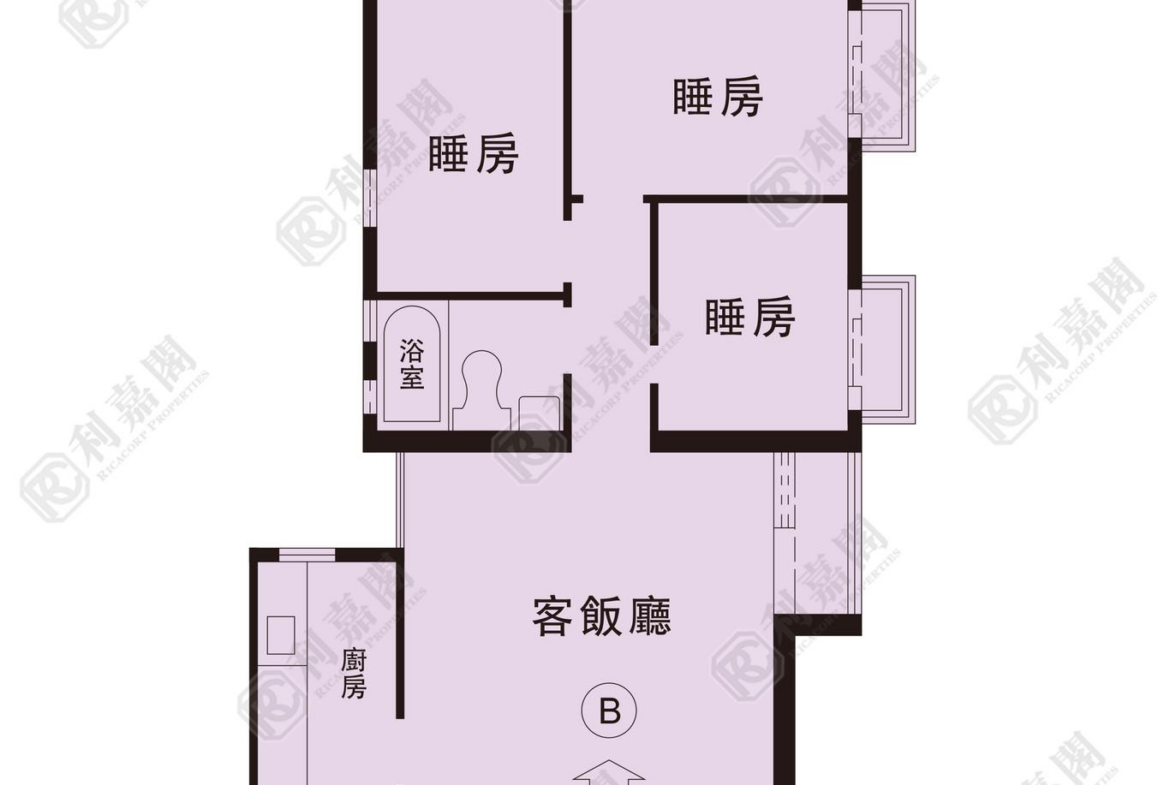 178768225513536_2000_ricacorp.png