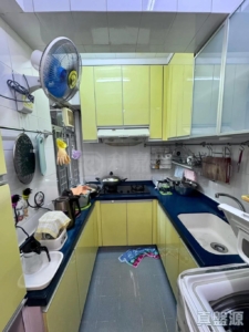 上水中心 5座 - 28NTS – 香港北部都會區