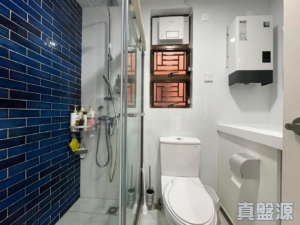 大埔寶馬山 9座 - 28NTS – 香港北部都會區
