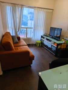 粉嶺名都 龍騰閣 (4座) - 28NTS – 香港北部都會區