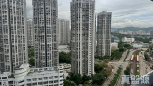YOHO WEST 2期 YOHO WEST PARKSIDE 1A座 - 28NTS – 香港北部都會區
