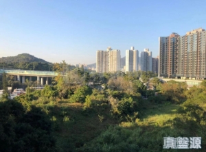 天鑽 15座 - 28NTS – 香港北部都會區