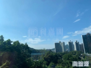天鑽 15座 - 28NTS – 香港北部都會區