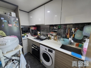 溱岸8號 3座 - 28NTS – 香港北部都會區