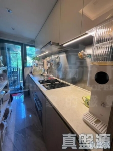 天鑽 19座 - 28NTS – 香港北部都會區