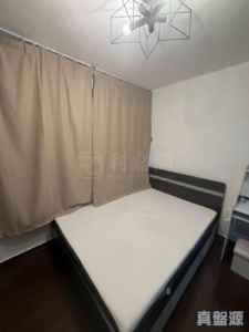 大圍村 第一街 15B號 - 28NTS – 香港北部都會區