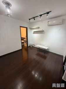 大圍村 第一街 15B號 - 28NTS – 香港北部都會區