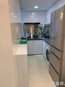 山麗苑 F座 - 28NTS – 香港北部都會區