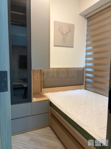 蝶翠峰 5期 尚悅‧嶺 1座 - 28NTS – 香港北部都會區
