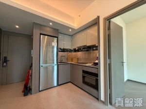 YOHO WEST 2期 YOHO WEST PARKSIDE 1A座 - 28NTS – 香港北部都會區