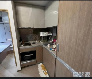 泓碧 H19座 - 28NTS – 香港北部都會區